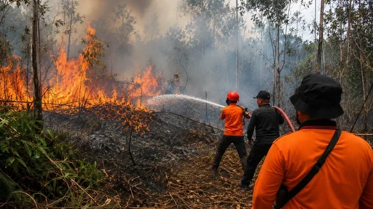 Waspada Kebakaran saat Musim Kemarau