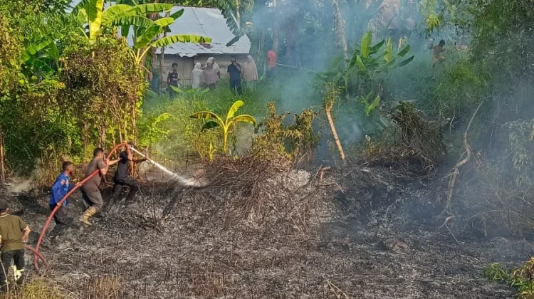 Lahan 2,5 Hektare di Panggoi Dilalap Api