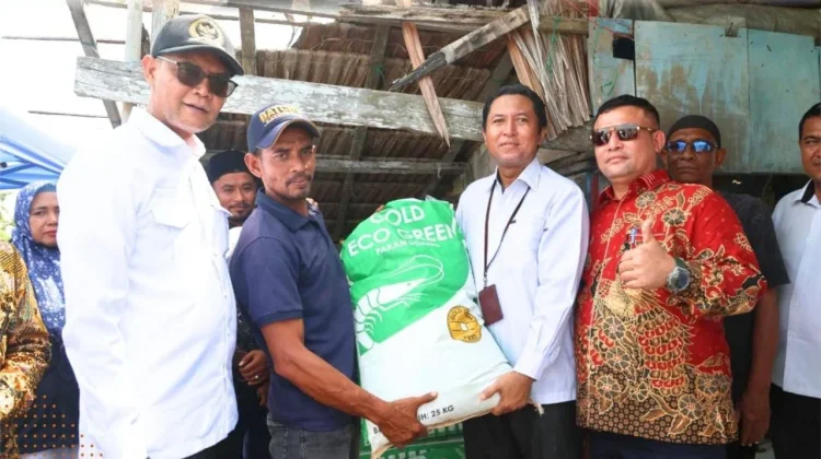 Pemkab Aceh Utara Lepas Bibit Kerapu untuk Pulihkan Ekonomi Nelayan