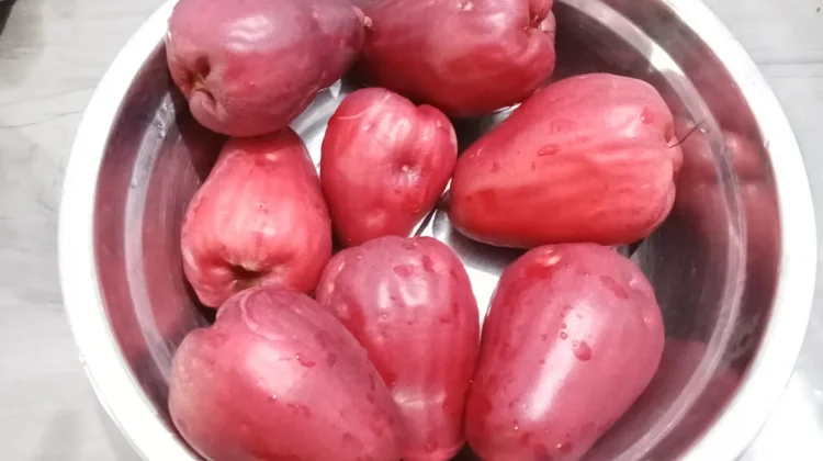 Jambu Jamaika, Buah Eksotis yang Manis dan Kaya Manfaat