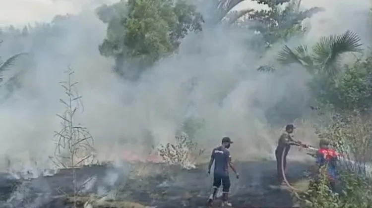 Kebakaran Lahan Gambut di Meunasah Blang Lhokseumawe Berhasil Dipadamkan
