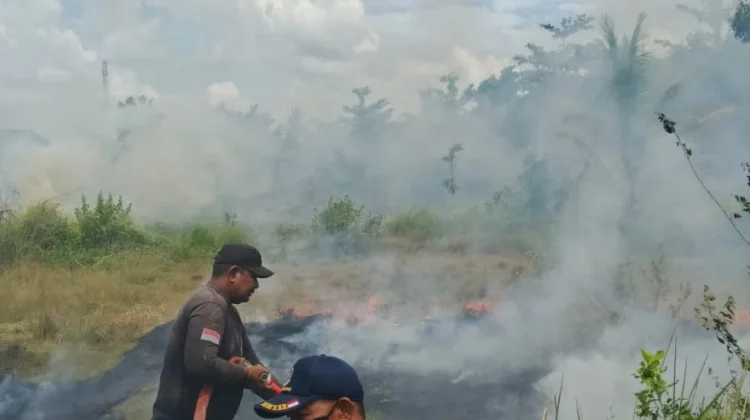 Kebakaran Lahan 350 Meter Terjadi di Muara Dua