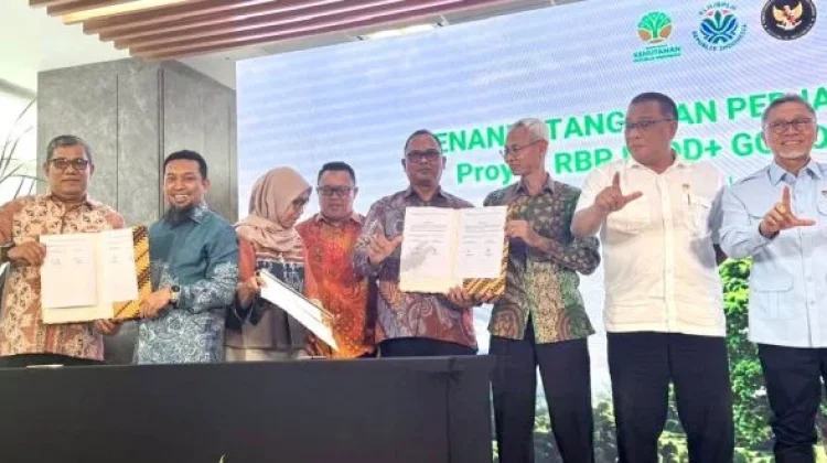 Capaian Penurunan Emisi, Perkuat Tata Kelola Hutan Aceh