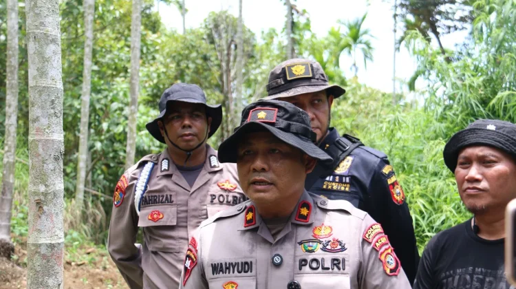 Polres Lhokseumawe Buru Dua Pemilik Ladang Ganja