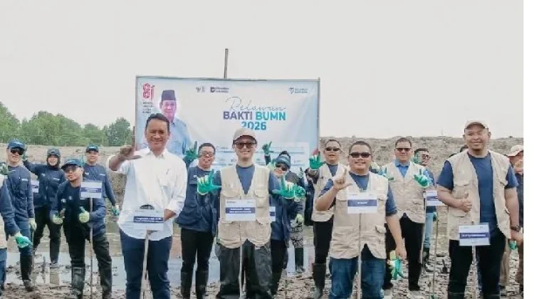 BSI Dorong Pemulihan Pesisir Aceh Tamiang Lewat 15 Ribu Mangrove