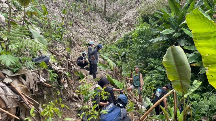 Pulihkan Tutupan Lahan Pasca-Bencana, KTH Gunung Greudong Tanam Ratusan Pohon