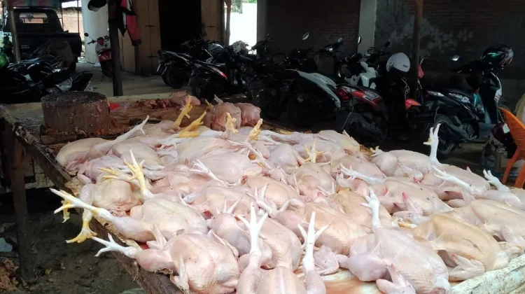 Harga Daging Ayam dan Bawang Merah Turun, Cabai Merah Keriting Naik