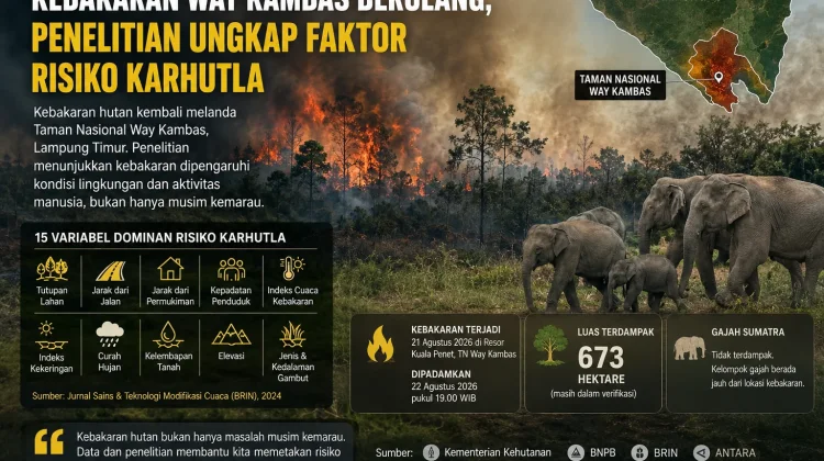 Kebakaran Way Kambas Berulang, Penelitian Ungkap Faktor Risiko Karhutla