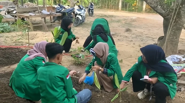 Mahasiswa KKN Unimal Kelompok 59 Tanam Tanaman Obat Keluarga di Desa Keude Krueng
