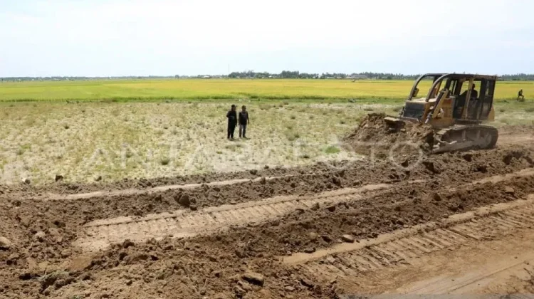 Distanbun Aceh Optimistis Pemulihan Sawah Rampung Tahun Ini