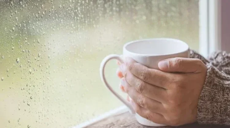 Suka Dengar Suara Hujan? Ini Penjelasan Ilmiahnya