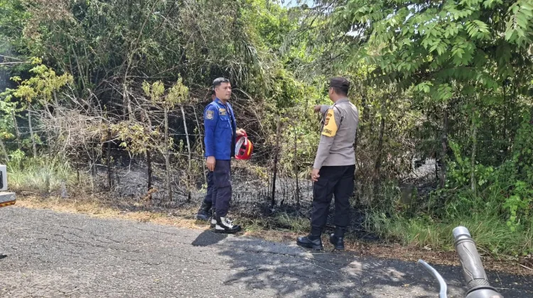 Damkar dan Polisi Gerak Cepat Tangani Kebakaran Lahan di Cot Girek Kandang