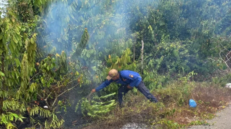 Kebakaran Lahan Blang Raya di Lhokseumawe Berhasil Dipadamkan