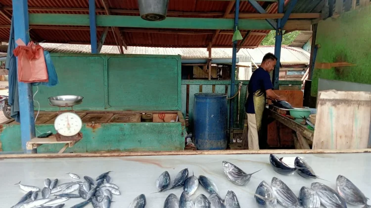 Harga Ikan Tongkol di Lhokseumawe Naik akibat Cuaca Buruk
