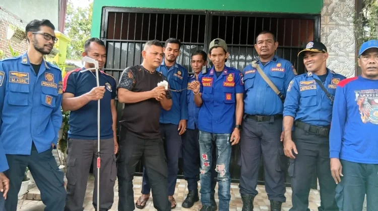 Anak Ular Kobra Dievakuasi Damkar dari Rumah Warga Panggoi