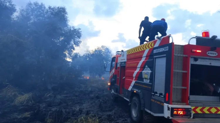 Muara Dua Memerah, 800 Meter Lahan Dilalap Api