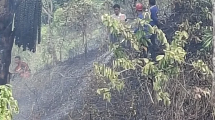 Kobaran Api Mengganas, Satu Hektare Lahan Terbakar di Cot Girek Kandang