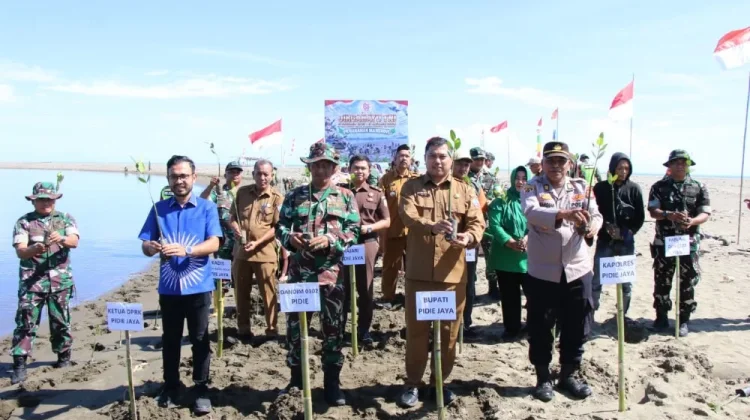 Forkopimda Pidie Jaya dan Warga Tanam 2.000 Mangrove di Pasi Aron