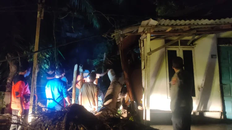 Hujan Deras Disertai Angin, Rumah Warga di Batuphat Timur Tertimpa Pohon