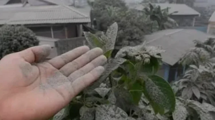 Sekilas tentang Abu Vulkanik, Material Alam yang Perlu Diwaspadai