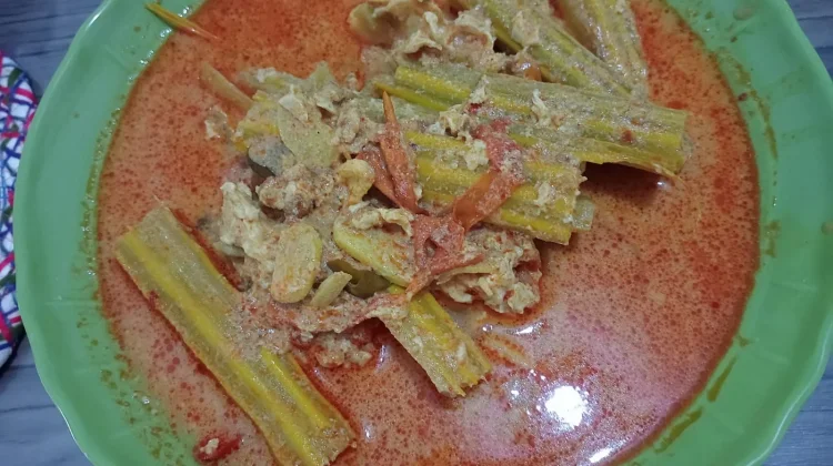 Buah Kelor Diolah Menjadi Masakan Lezat dan Bernilai Gizi