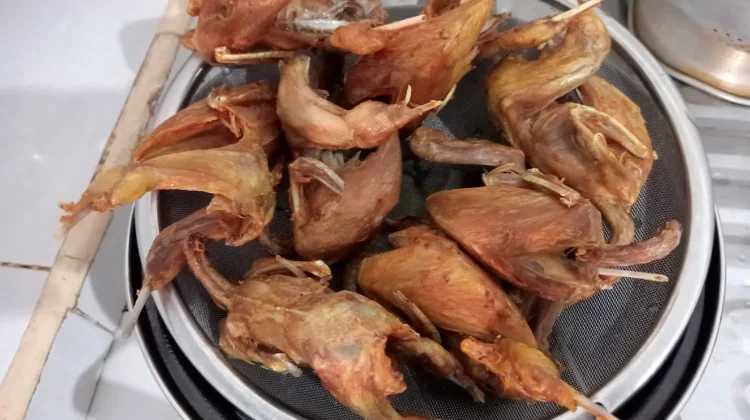 Daging Burung Puyuh, Sumber Protein Hewani yang Kaya Manfaat