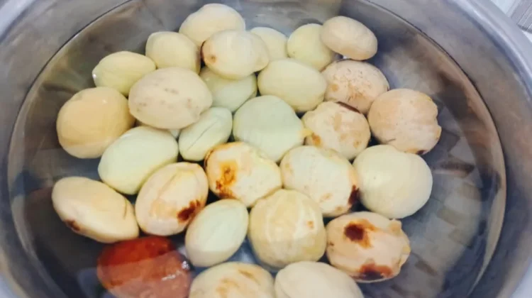 Jangan Langsung Dimasak, Ini Alasan Jengkol Perlu Direndam