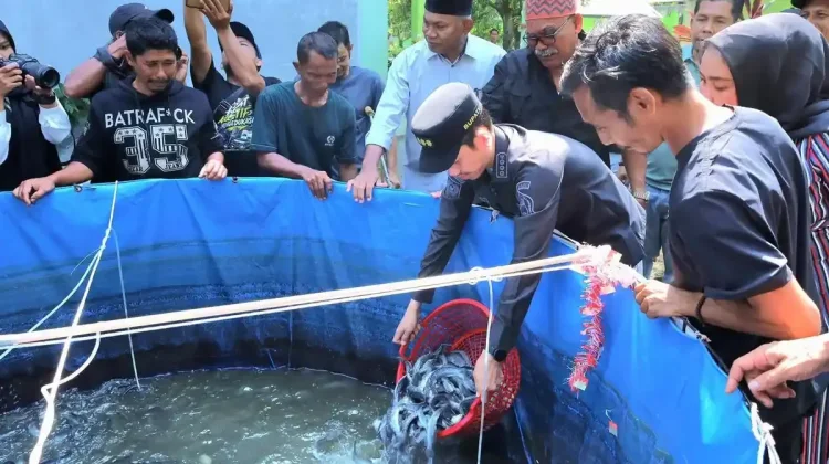 Panen Lele Jadi Jalan Disabilitas Aceh Barat Tinggalkan Mengemis