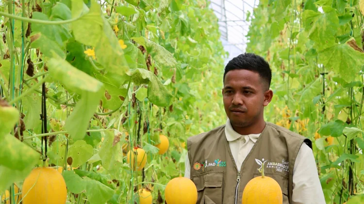 Melon Premium Berbasis IoT Antarkan Miharu Farm Raih Penghargaan