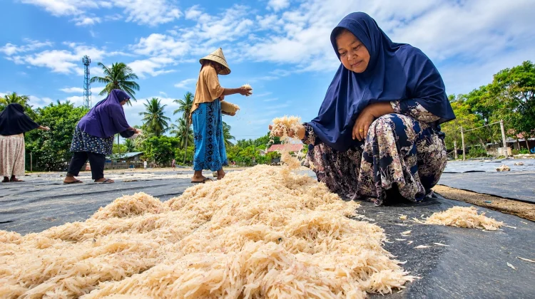 Ibu Syarifah, Udang Sabu dan Harapan yang Datang dari BPJS Ketenagakerjaan