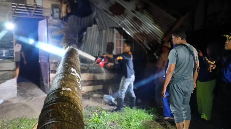 Pohon Tumbang Timpa Rumah Warga Banda Masen, Rusak Berat