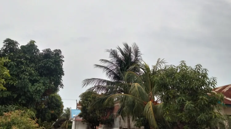 BMKG Waspadai Hujan dan Petir di Aceh Timur dan Langsa