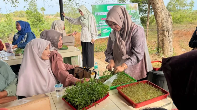 Microgreens Jadi Solusi Pangan Sehat Warga Paya Gaboh