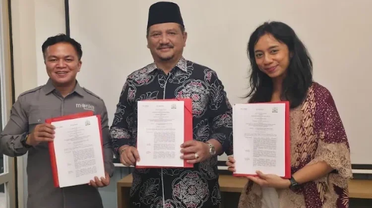 Hutan Bakau Aceh Tamiang Dibidik untuk Proyek Karbon Berbasis Alam
