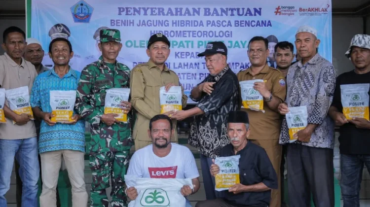 Pacu Pemulihan Pertanian Pidie Jaya, 9,27 Ton Benih Jagung Disalurkan