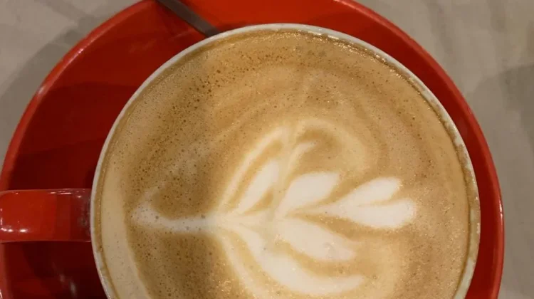 Hari Kopi Internasional, Kopi Aceh Jadi Warisan dan Identitas Dunia