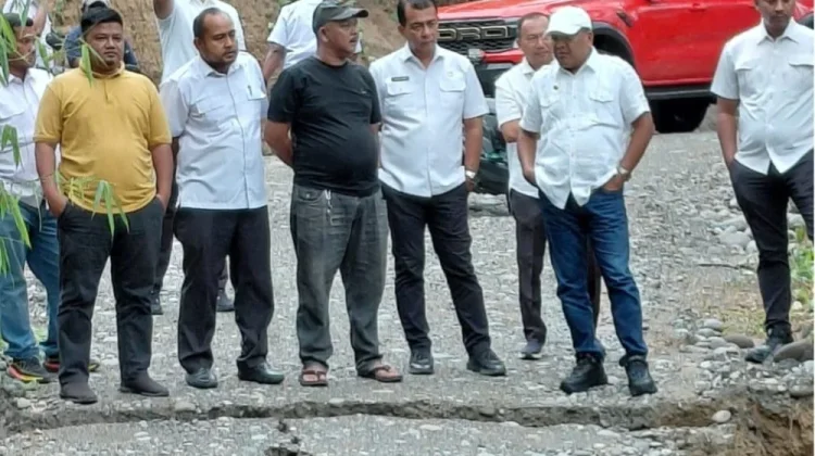 Jembatan Darurat Runtuh, Pemkab Bireuen Percepat Pemulihan Akses Warga