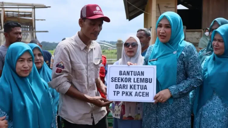 Kak Na Serahkan Bantuan Sapi Meugang di Sawang