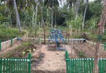 Mahasiswa KKN Unimal Kembangkan Hidroponik dan Herbal