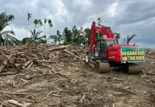 TNI-BNPB Bersihkan Sisa Banjir, Pulihkan Lahan Warga Langkahan