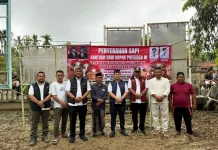 Bupati Aceh Utara Serahkan Sapi Bantuan  Presiden Secara Simbolis