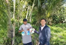 Dosen Agribisnis dan DPL Pantau Deplot Padi HIMAGRI