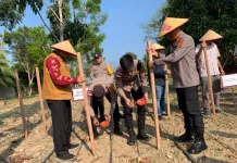 Dukung Swasembada Pangan, Polres Aceh Utara Tanam Jagung Serentak