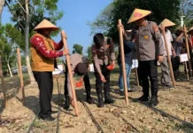 Asisten I Setdakab Aceh Utara Hadiri Kegiatan Tanam Jagung Serentak Kuartal I