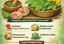 Manfaat Daun Gelinggang untuk Mengatasi Penyakit Gatal pada Kulit