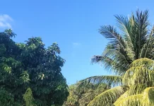 Cuaca di Kota Lhokseumawe  Terpantau Cerah Berawan.