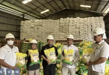Stok Beras Melimpah, Bulog Lhokseumawe Jamin Stabilitas Harga