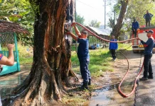 Bakar Sampah Berujung Kebakaran di Muara Satu