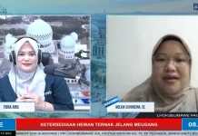 Disperindakop Pantau Stok dan Harga Daging Meugang
