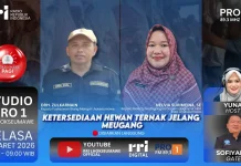 Puskeswan Jamin Kesehatan Hewan Ternak Meugang Lhokseumawe
